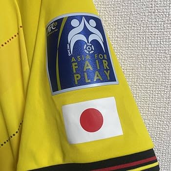 Amazon.co.jp: 柏レイソル ACL レプリカユニフォーム